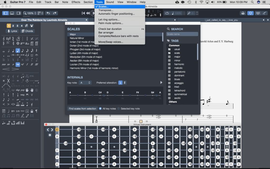 Principais recursos:

Editor profissional de tablaturas e partituras padrão
Motor de som realista (RSE) de alta qualidade
Edição de partituras multitrack
Afinador de guitarra e metrônomo integrados
Biblioteca de acordes e gerador de diagramas de acordes
Explorador de escalas e braço virtual