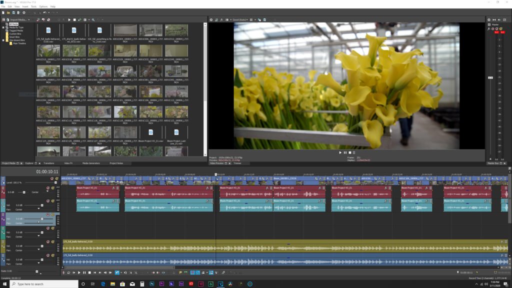 Download Sony Vegas Pro 17 Crackeado Gratis PT-BR