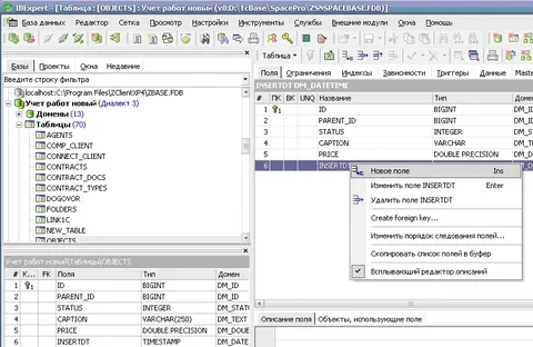 IBExpert Crackeado Download Grátis PT-BR 2026