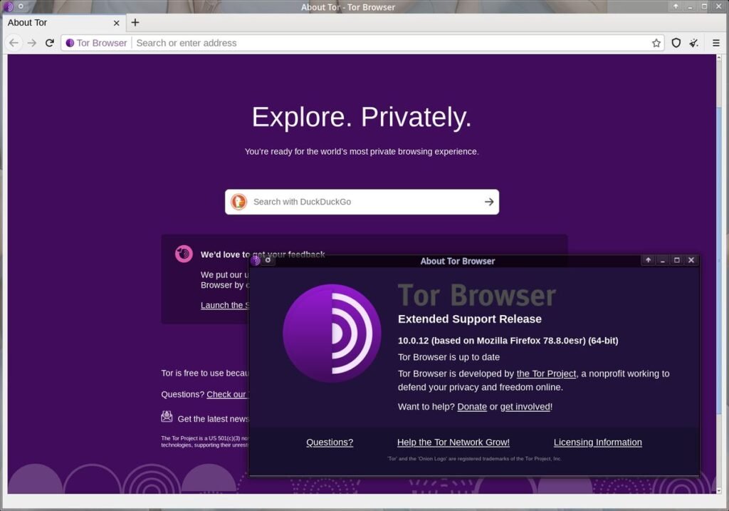 Tor Browser Download Gratis PT-BR 2026