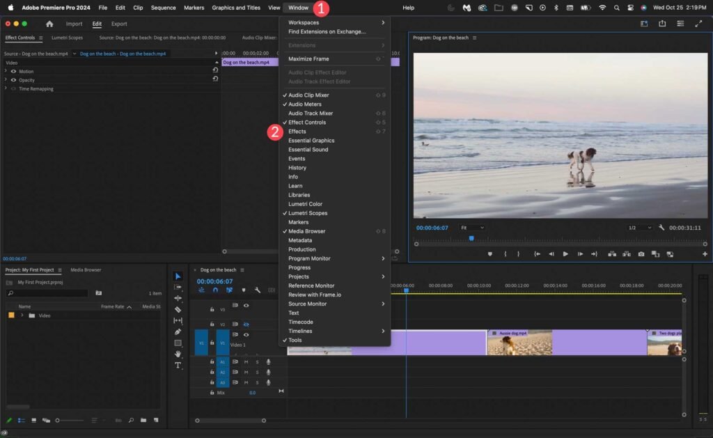 Adobe Premiere Pro Crackeado Gratis Download Portuguese 2026